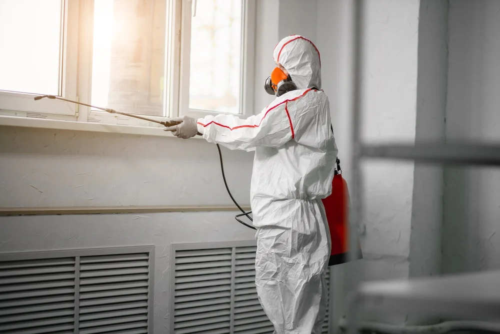 Professional mold remediation services in Mine Hill, NJ
